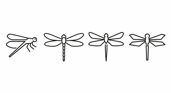 Four Dragonflies in Different Flying Positions Line Art Drawing