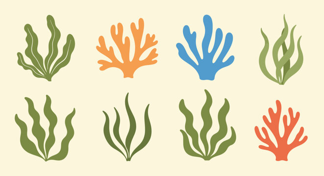 Coral reef seaweed marine plants in various colors and shapes