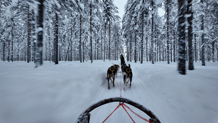 Winter adventure in Akaslompolo, Lapland with husky sledding through snowy forest trails © Fokke Baarssen