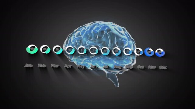Animation of graphs over rotating brain on grey background