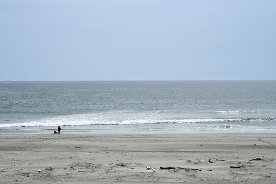 初春の同笠（どうり）海岸・人と打ちよせる波・静岡県袋井市