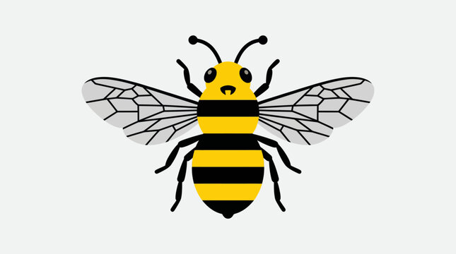 Simple cartoon illustration of a yellow and black striped honey bee with transparent wings.