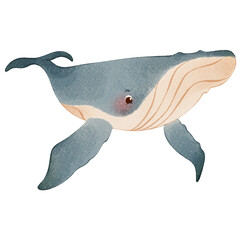 Watercolor Animals Ocean Sea Underwater Aquatic Wildlife Fish Nature Creature Tropical Ecosystem Fauna Adorable Illustration  © Haps