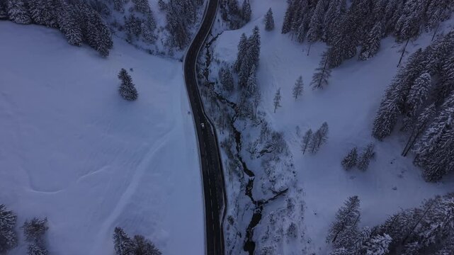 Top down drone shot of single car driving on winding snowy mountain road surrounded by pine forest. Winter transport and mobility scene