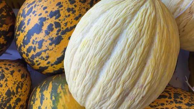 Yellow and green melons showing contrasting textures and patterns, suitable as a background