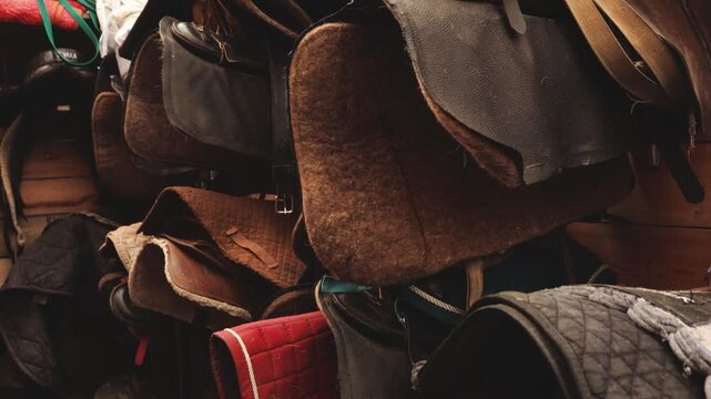 A variety of saddles on display