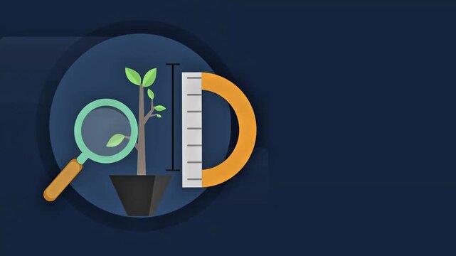 Motion graphics of a young plant in a pot with a magnifying glass and a ruler measuring growth for biology education or scientific research.