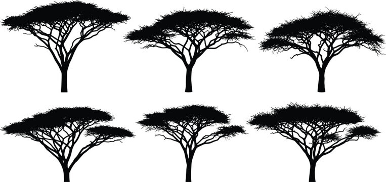 Black silhouette collection of African acacia trees featuring flat top savanna trees and desert vegetation isolated on white background