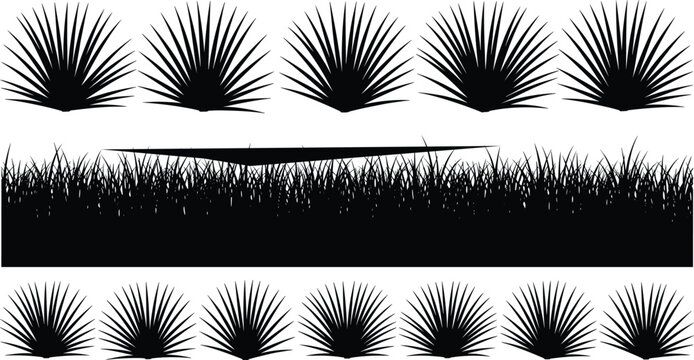 Black silhouette collection of tropical palm fronds, desert yucca plants, and thick garden grass border isolated on a white background