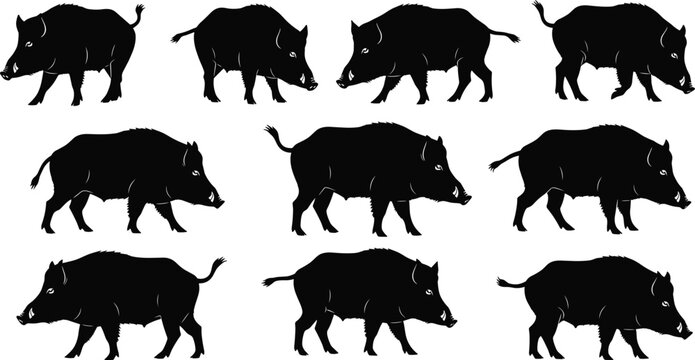 Black wild boar silhouettes collection, forest animal icons set, feral pig side view graphics, hunting trophies, wildlife nature design elements, hog