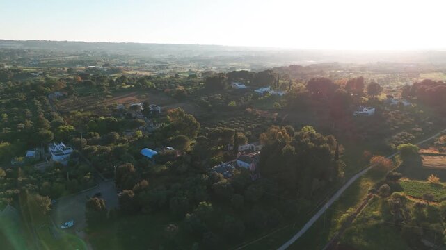 Beautiful Italian landscape: Aerial footage of Trulli di Alberobello region and olive farms