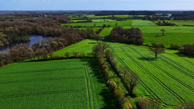 Flying over the beautiful green nature with pastures, trees and water in northern France.