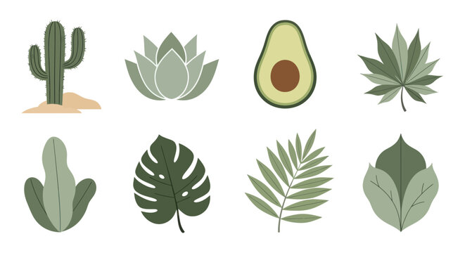 Variety of green leaves and plants.