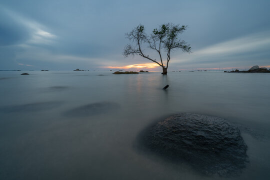 Serene long exposure of a solitary tree and smooth coastal waters at sunrise, Pantai Tapak Dewa Beach, Bangka Island, Indonesia