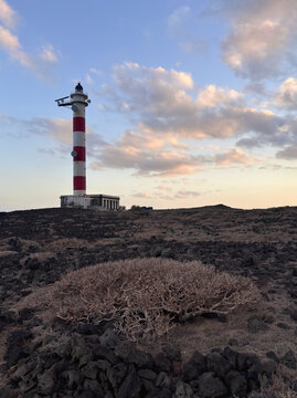 A red and white striped lighthouse stands on a dark volcanic landscape under a sunset sky with soft pink clouds in Arico, Tenerife. Dry endemic coastal vegetation and black rocks occupy the foreground