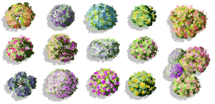 Vector watercolor blooming flower tree or forest top view isolated on white background for landscape plan and architecture drawing,plant for environment or garden,botanical element for exterior layout