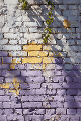 Fototapeta premium Weathered Brick Wall with Purple, Yellow, and White Paint