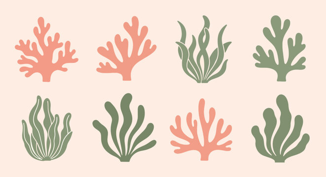 Coral reef elements in pink and green on beige background