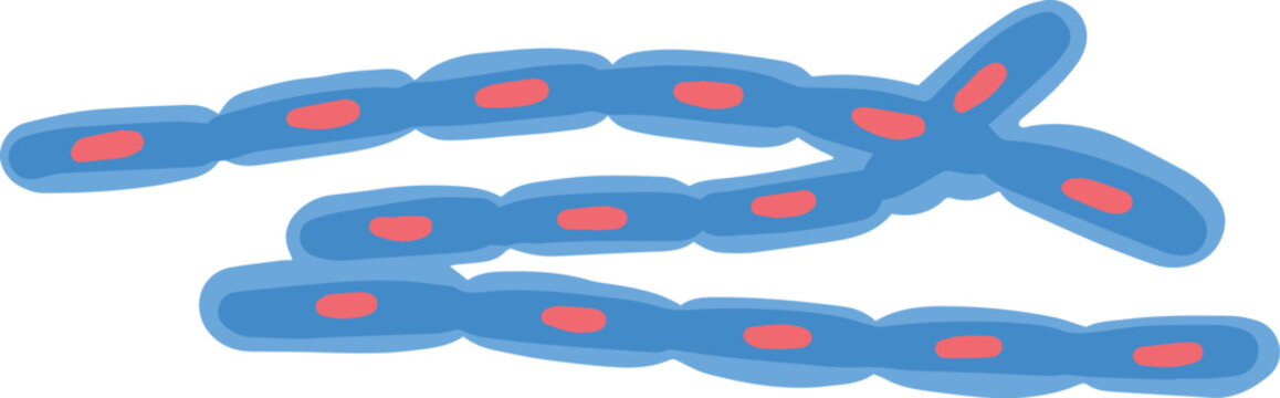 Bacillus Anthracis Virus Illustration