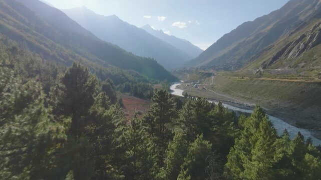 Aerial drone flight over pine trees revealing the Baspa River and Chitkul village in Kinnaur Valley, Himalayas