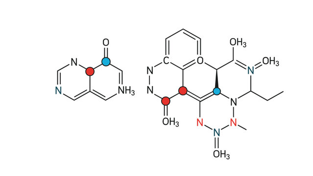Technical illustration showing the chemical structural formulas of two different and complex organic molecules.