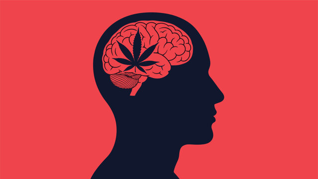 Conceptual image exploring impact of medical or recreational marijuana use on human brain function and health.