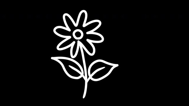 Chalk style hand-drawn botanical animation stickers set, White doodle flowers and leaves on transparent background, Loop