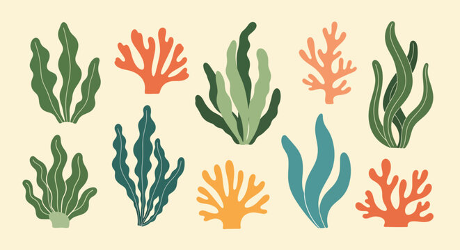 Colorful coral reef elements in various shapes and sizes