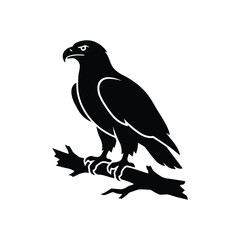 Fototapeta premium Black silhouette of a bird of prey perched on a branch white background eagle