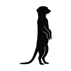 Obraz premium Black silhouette of a standing meerkat with white highlights