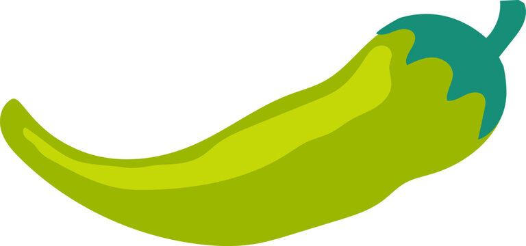 Green chili pepper vector illustration for spicy food