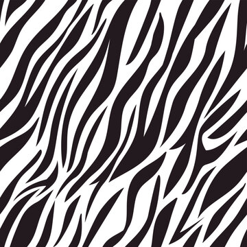 Seamless zebra stripes pattern forming animal texture