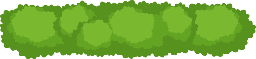 Fototapeta premium Green hedge row creating a garden border