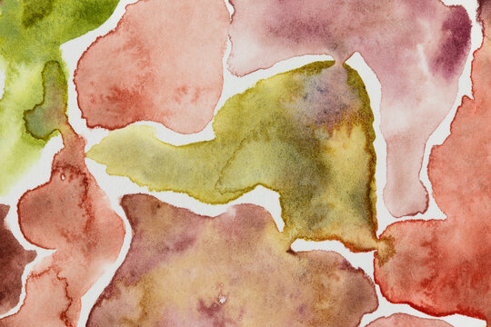 Earthy tone color palette