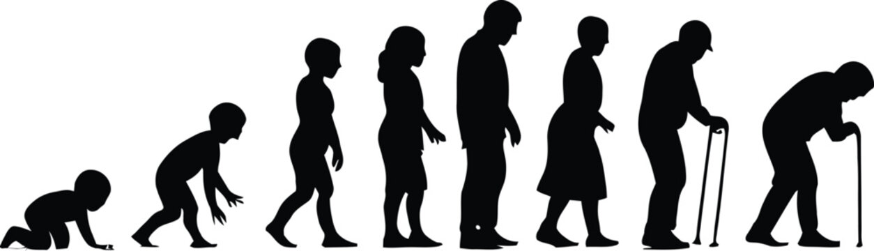 Evolution of humans from ape to elderly