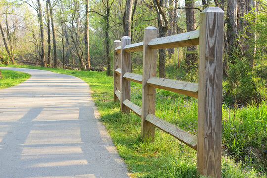 Vibrant Rustic Wooden Fence along Scenic Spring Forest Greenway Trail