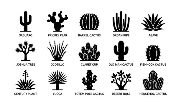 Silhouette collection of various cacti and desert plants in black and white