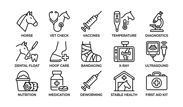 Veterinary icons: animal healthcare tools and treatments for equine and livestock welfare