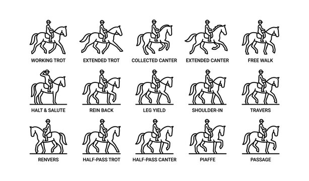 Equestrian dressage pattern diagrams depicting various horse movements and poses