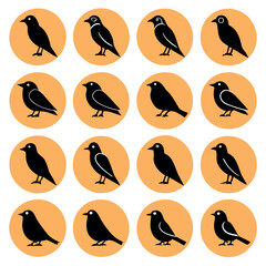 Fototapeta premium set of birds
