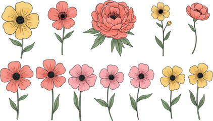 Hand drawn flower set with peony and simple blossoms botanical floral elements vintage style vector illustration collection © Lunavera art