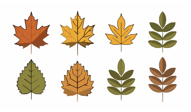 Minimalist geometric maple and ash leaves vector set flat isolated icon style illustration on white