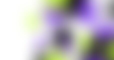 Fototapeta premium Soft abstract bokeh background with purple and green gradients. Dreamy, blurred light spots for a subtle, modern digital texture