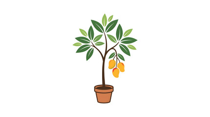 Fototapeta premium Potted Plant with Green Leaves and Fruits.