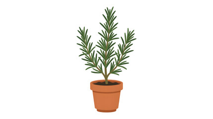 Obraz premium Potted Green Plant with Green Leaves.