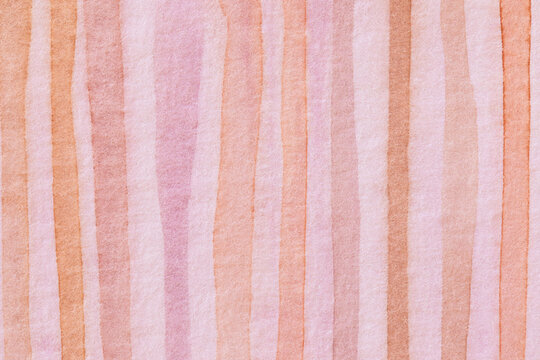 Pink backdrop with soft lines