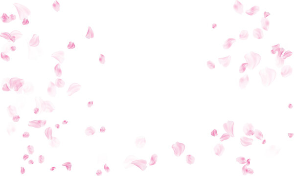 Scattered pink rose petals for a romantic wedding invitation and floral background