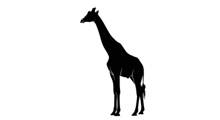 Fototapeta premium Black silhouette of a giraffe 1.