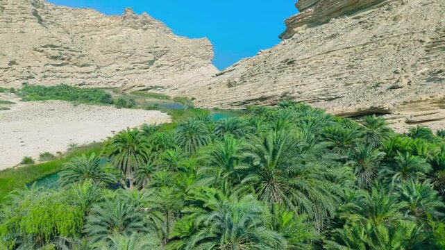 Aerial view of a dense green palm tree oasis and turquoise river running through a deep rocky canyon in Saudi Arabia.