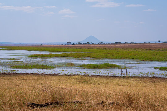 savanna floodplain and mountain peak of tarangire national park tanzania